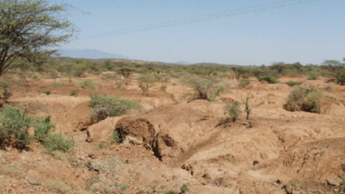 What Steps Can Be Taken to Control Soil Erosion in the Hilly Areas: Exapert Strategies for Sustainable Erosion Control