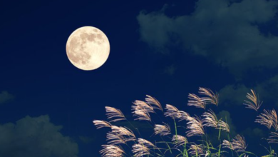 The Moon is Beautiful Isn'T It: Discover the Enchanting Power of Lunar Beauty