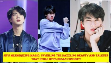 Who is Worldwide Handsome Jin Or V