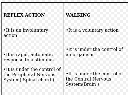 What is the Difference between a Reflex Action and Walking: Everything You Need to Know?
