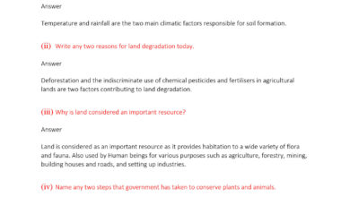 Which are the Two Main Climatic Factors Responsible for Soil Formation