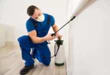 Are professional pest control services worthy to consider?