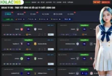 Live Football Coverage – Insights from Professional Reporters